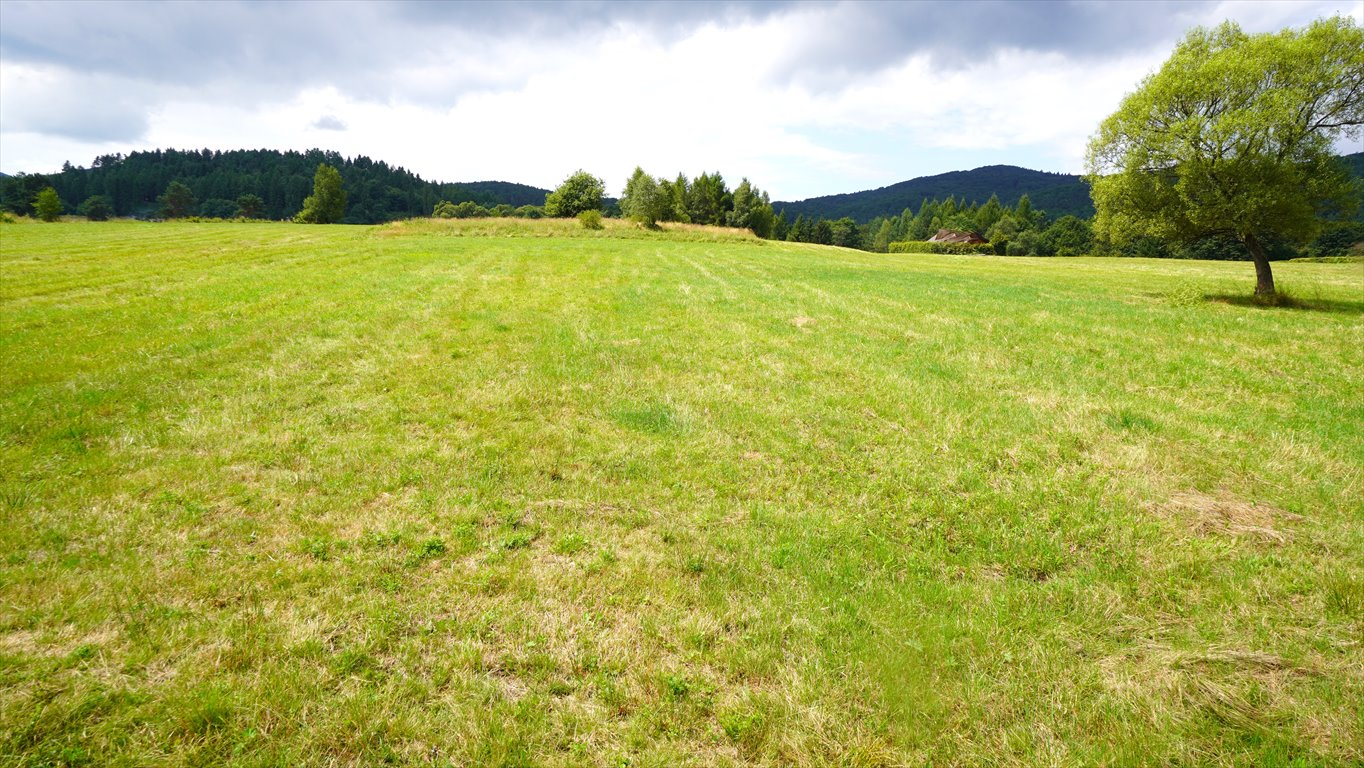 Działka budowlana na sprzedaż Wysowa-Zdrój  994m2 Foto 3