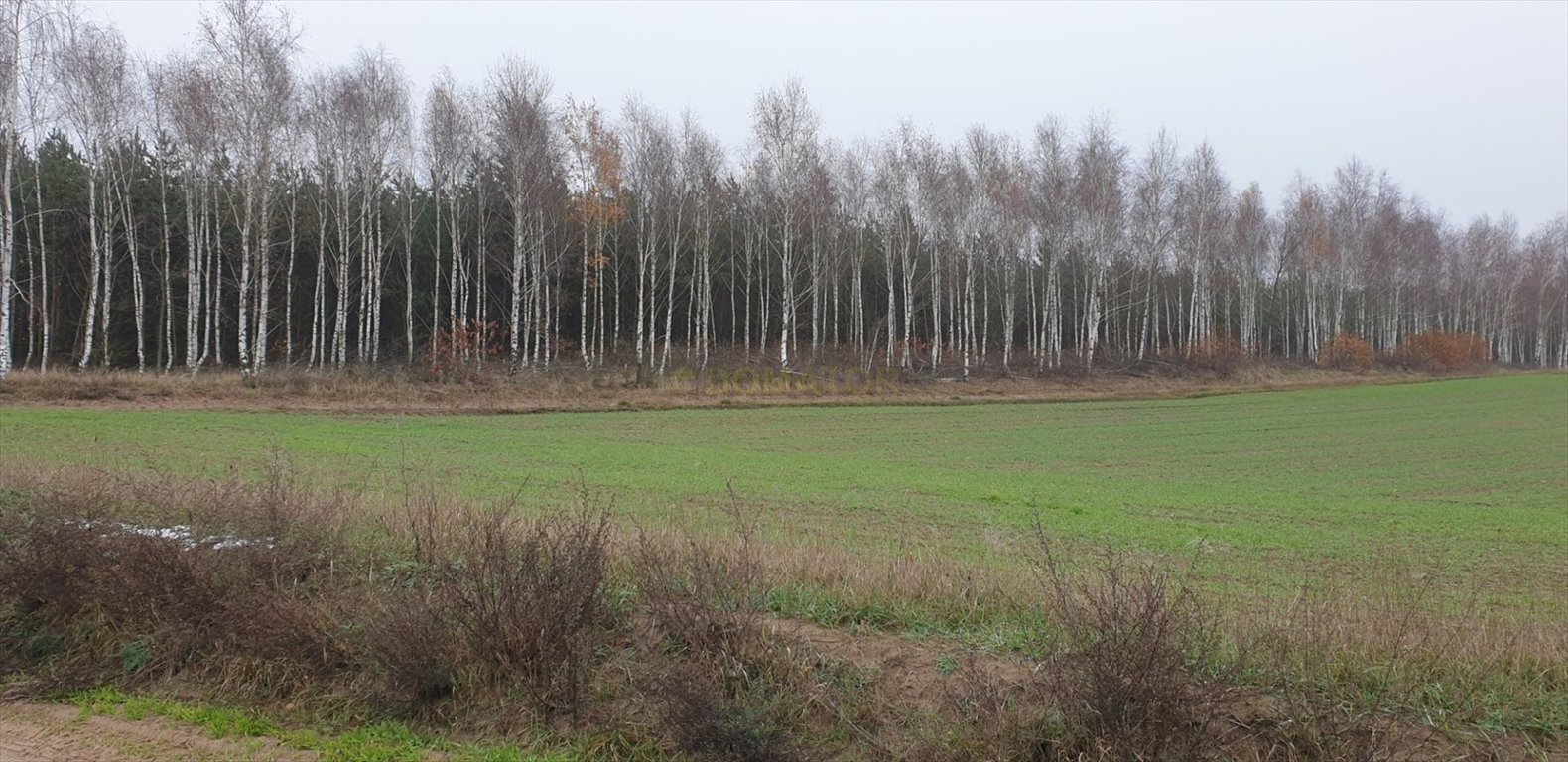 Działka budowlana na sprzedaż Rynarzewo  928m2 Foto 3