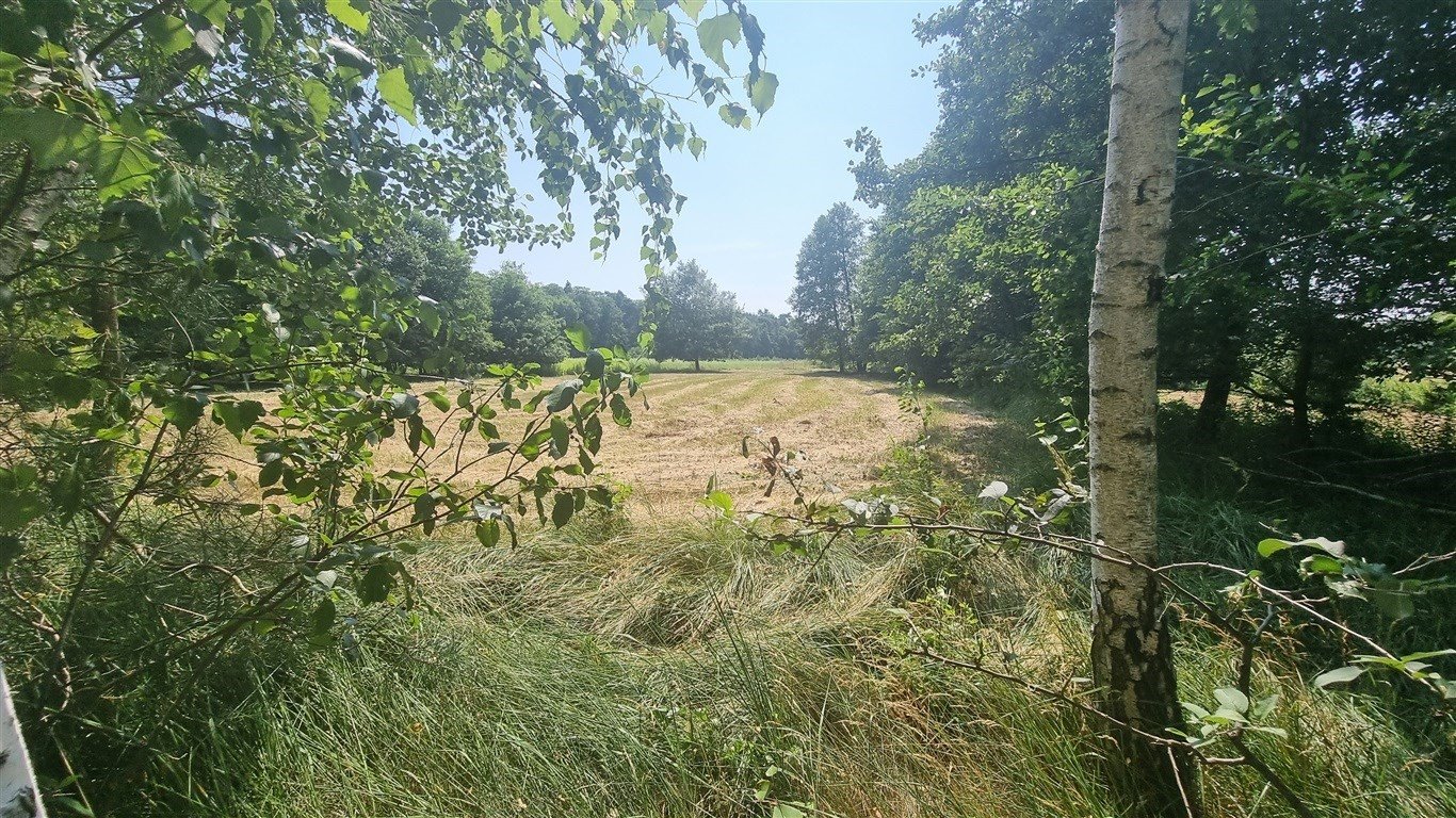 Grunt rolny 1,3 ha z mediami, blisko Słupna Słupno, Wiślana  13 000m2 Foto 1