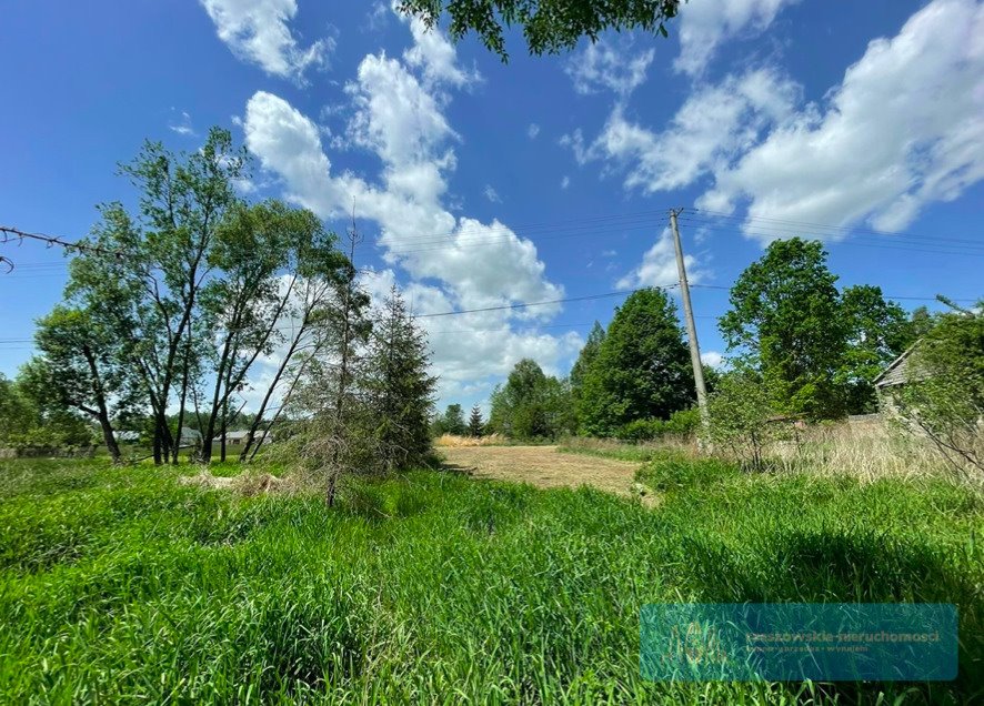 Działka budowlana na sprzedaż Widełka  3 303m2 Foto 1