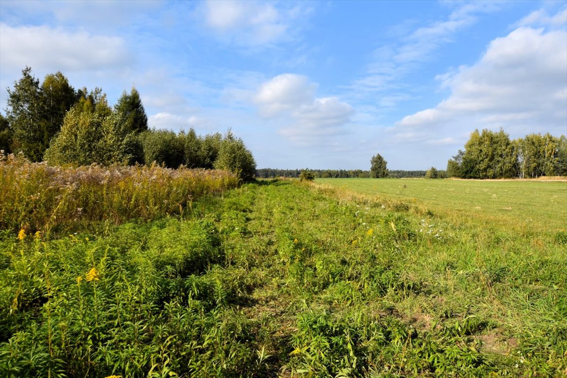 Działka budowlana na sprzedaż Borkowice  900m2 Foto 2