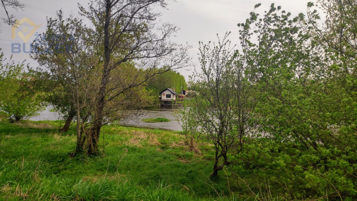 Działka 9,21 ha z stawem i dębami pod stadninę Helenka  69 289m2 Foto 1