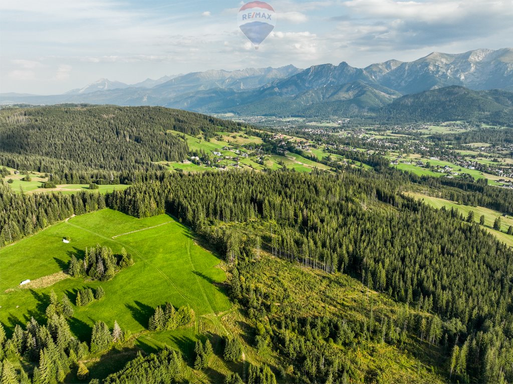 Działka rolna na sprzedaż Dzianisz  6 560m2 Foto 3