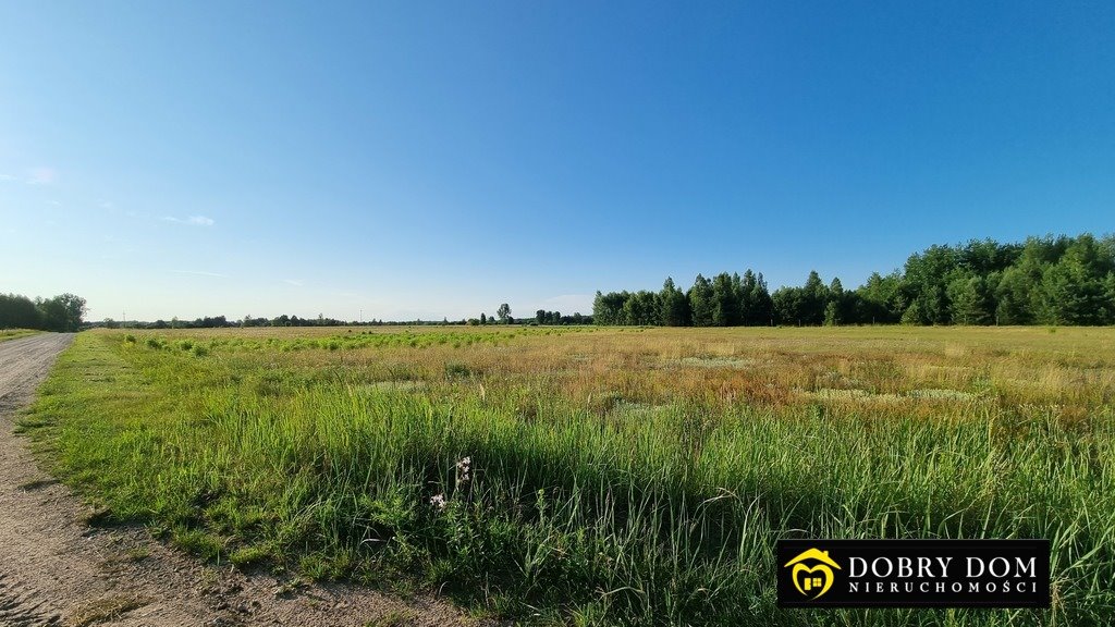 Duża działka 25 289 m2 pod zabudowę zagrodową w Mikłaszewie Mikłaszewo  25 289m2 Foto 1