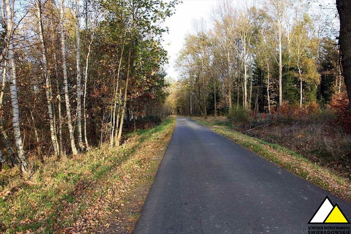 Działka budowlana na sprzedaż Rębiszów, Rębiszów  1 000m2 Foto 6