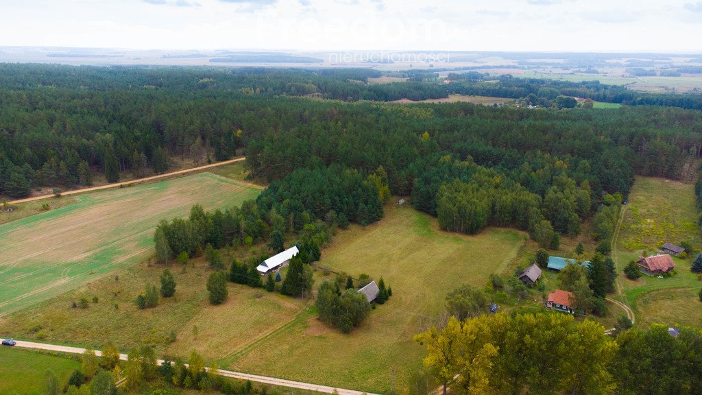 Działka siedliskowa na sprzedaż Łapicze  11 000m2 Foto 5