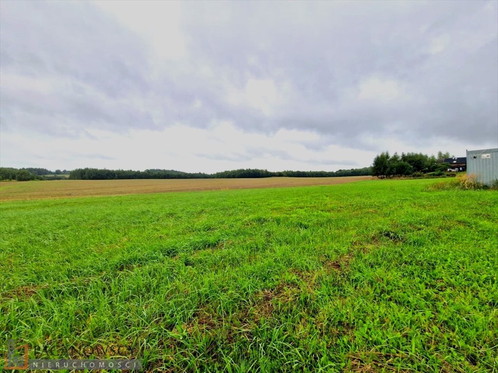 Działka inna na sprzedaż Smardzowice  3 000m2 Foto 1