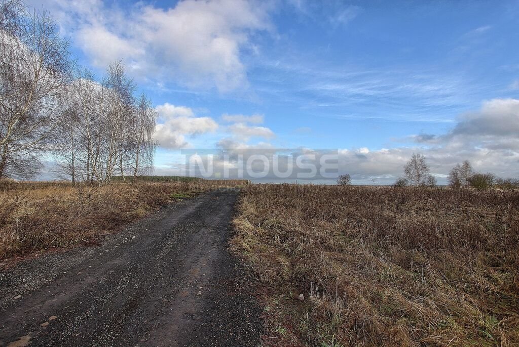 Działka rolna na sprzedaż Wąwelnica  1 191m2 Foto 10