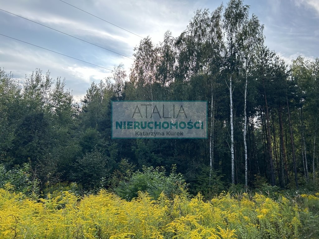 Działka 3000 m² z MPZP, media, podział, Radziejowice - zapraszam Radziejowice  3 000m2 Foto 1