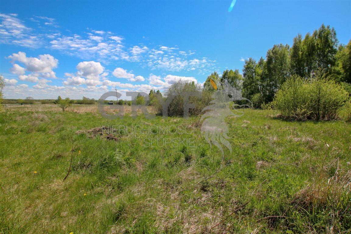Działka inna na sprzedaż Dębina, Dębina 1 164m2 Foto 1 Działka inna na sprzedaż Dębina, Dębina 1 164m2 Foto 1