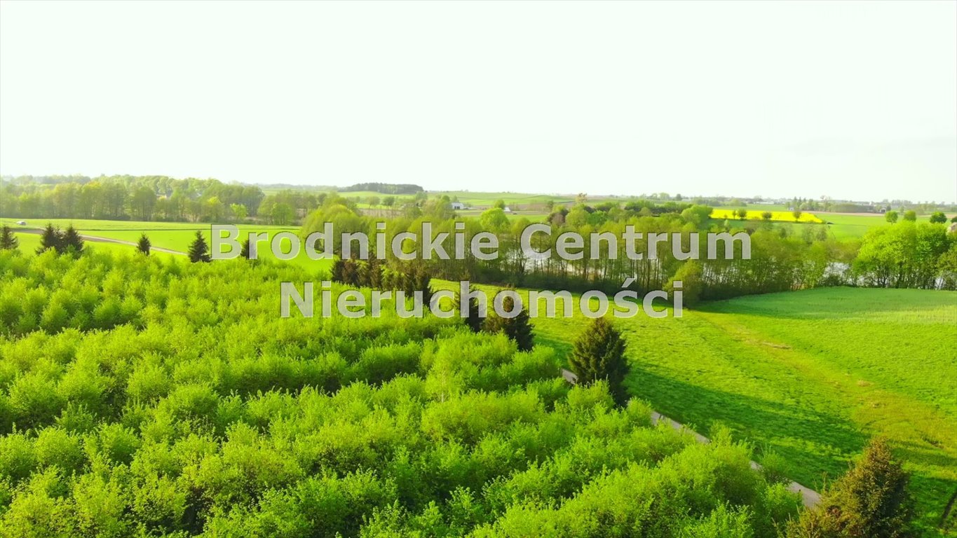 Działka rolna na sprzedaż Księte  3 000m2 Foto 17