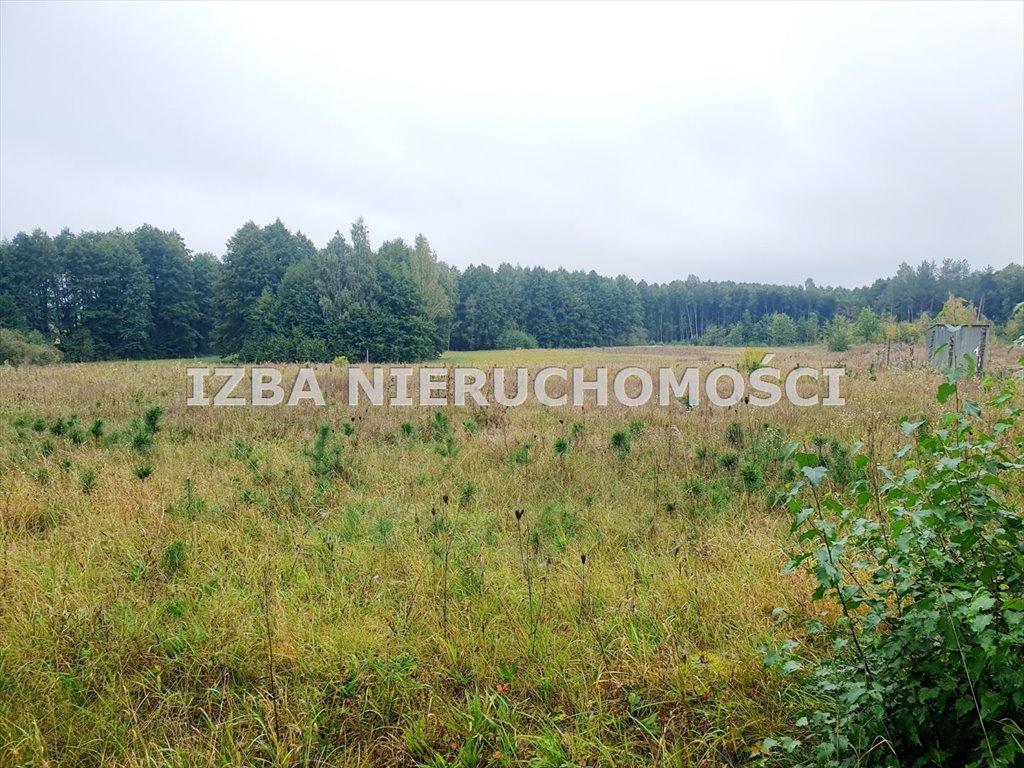 Działka budowlana na sprzedaż Przykopka  1 090m2 Foto 6