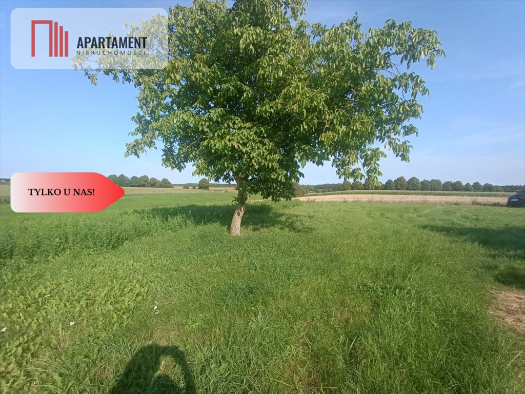 Działka budowlana na sprzedaż Kruszka  5 100m2 Foto 7