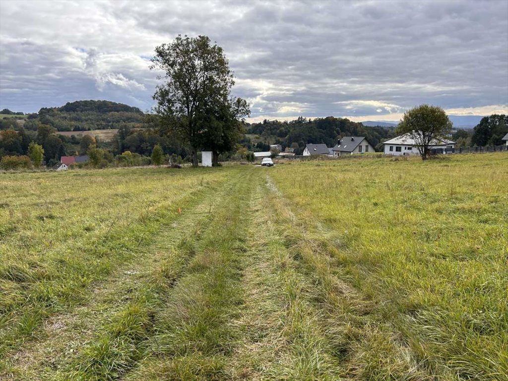 Działka budowlana na sprzedaż Wojciechowice  1 441m2 Foto 2