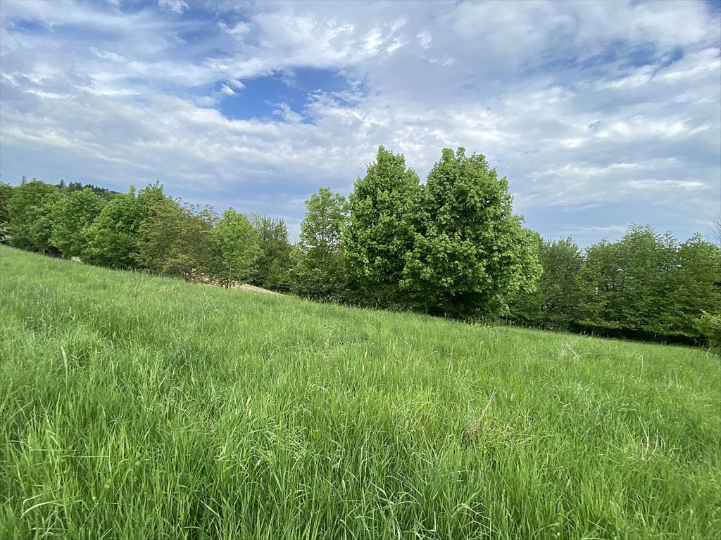 Działka budowlana na sprzedaż Ustroń, Ustroń, Jelenica  2 121m2 Foto 9