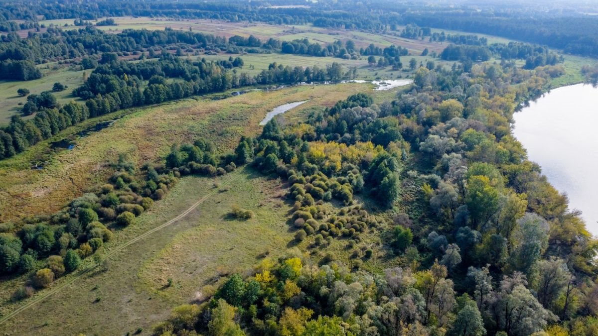 Działka rolna na sprzedaż Michałowo  38 400m2 Foto 6