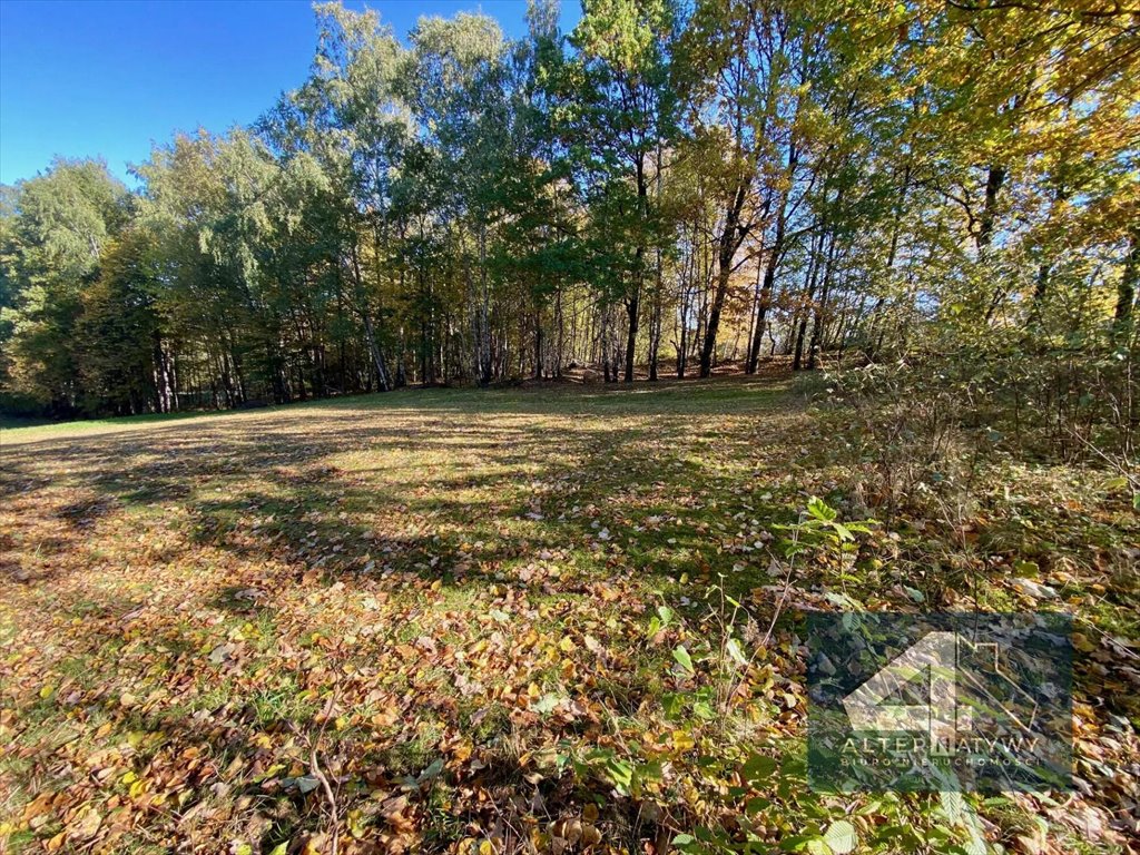 Działka budowlana na sprzedaż Siepraw  1 300m2 Foto 1