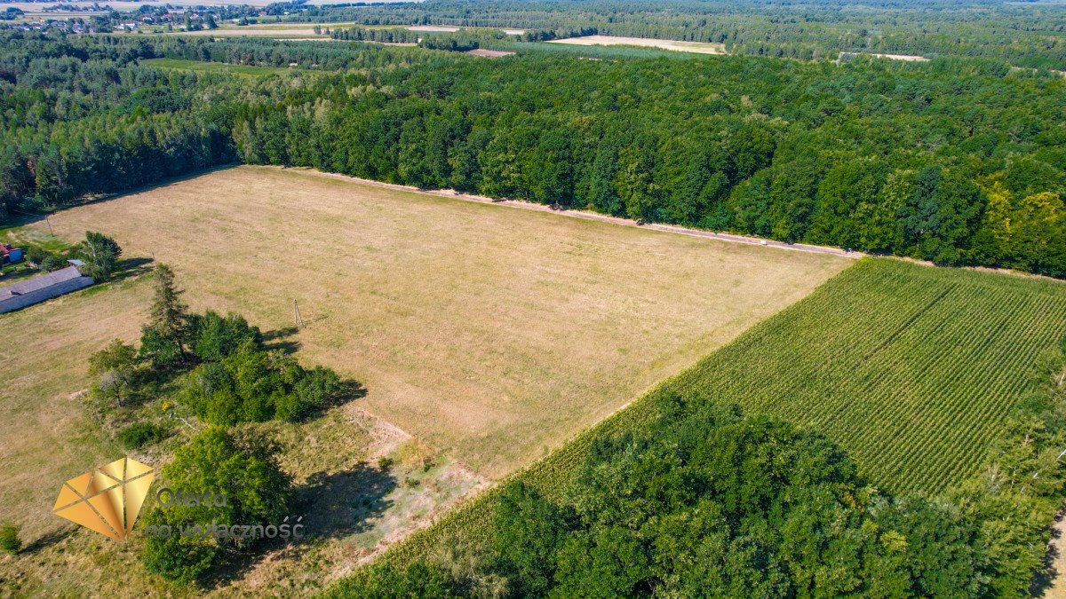 Działka budowlana na sprzedaż Kaznów-Kolonia  1 329m2 Foto 2