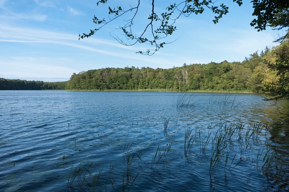 Na sprzedaż działka rekreacyjna 866 m² nad jeziorem Chłopowo Chłopowo  866m2 Foto 1