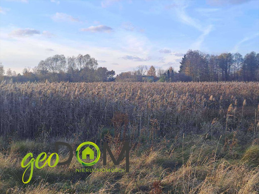 Działka rolna na sprzedaż Dubeczno  62 774m2 Foto 1