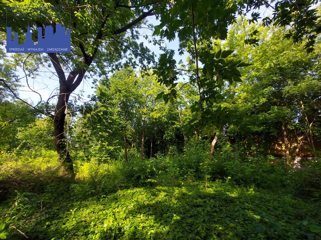 Działka budowlana na sprzedaż Piaseczno, Chyliczki  1 000m2 Foto 8