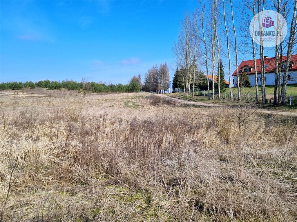 Działka budowlana na sprzedaż Biesówko, Biesówko  5 771m2 Foto 1