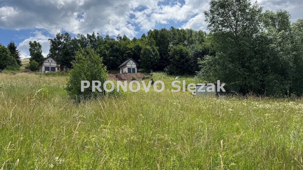 Przestronna działka 3740 m² z widokiem na zalew polecam Michałkowa, Michałkowa  3 740m2 Foto 1