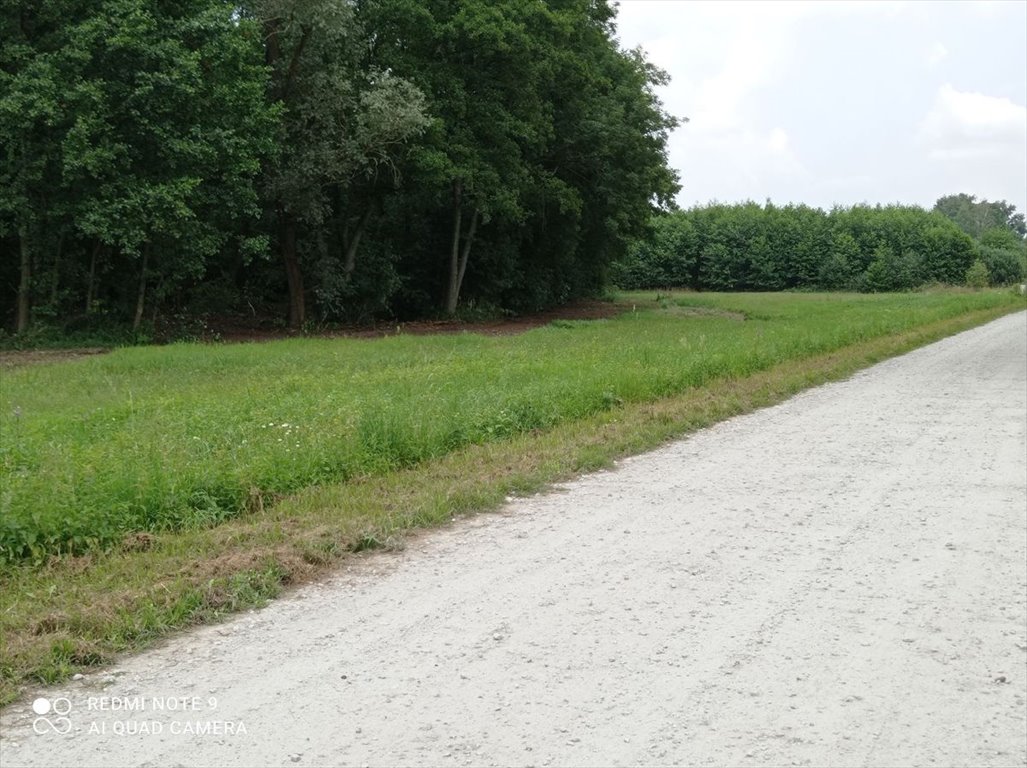 Działka budowlana na sprzedaż Rybno Wielkie, Brzozowa  1 931m2 Foto 15