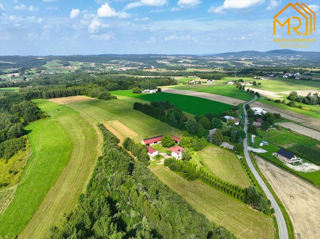 Działka inna na sprzedaż Szerzyny  10 100m2 Foto 14