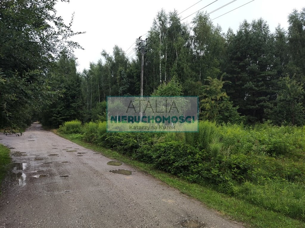 Działka 6000 m² z mediami, lasem i zabudową - polecam! Zalesie  6 000m2 Foto 1