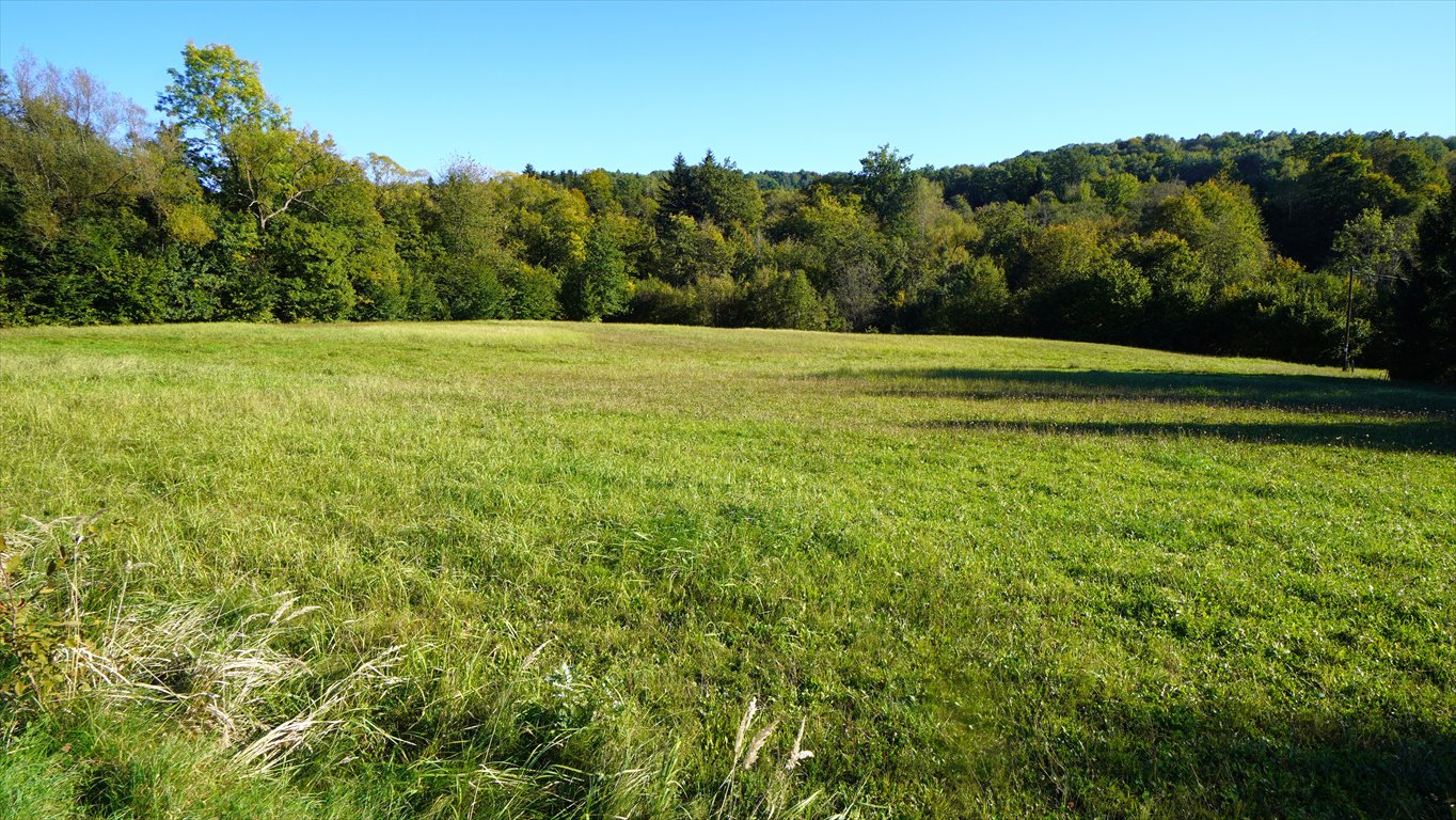 Działka budowlana na sprzedaż Sękowa  8 200m2 Foto 3