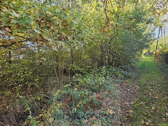 Działka budowlana z domkiem, las, media, 35 km od Warszawy Chynów  9 600m2 Foto 1