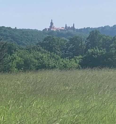 Działka budowlana na sprzedaż Świebodzice  1 958m2 Foto 3