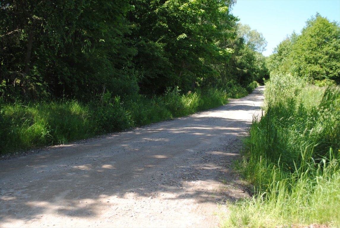 Działka budowlana na sprzedaż Kolbudy, Słonecznikowa  3 348m2 Foto 1