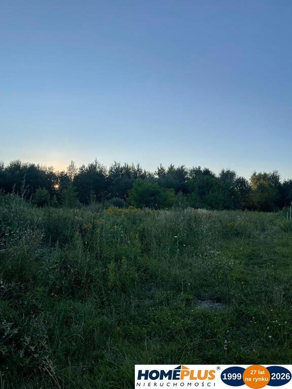 Zdjęcie 6