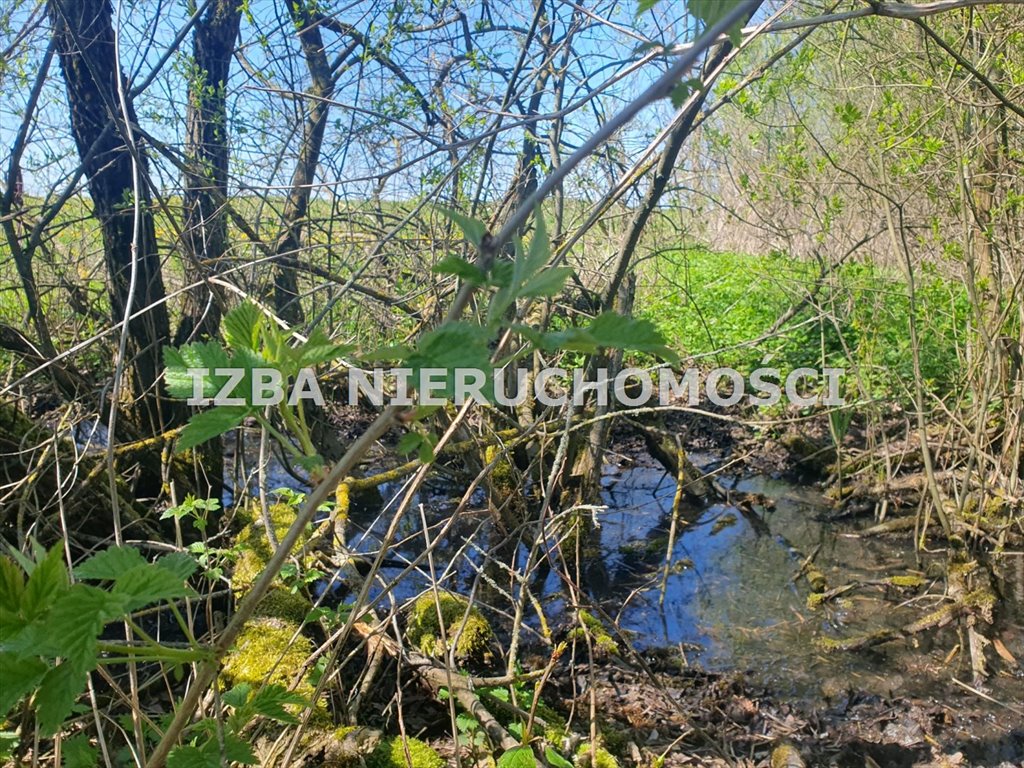 Działka budowlana na sprzedaż Ginie  3 961m2 Foto 12