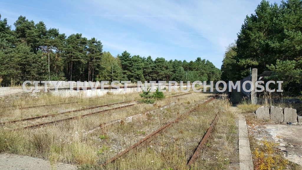 Działka inna na sprzedaż Gubin  82 000m2 Foto 3