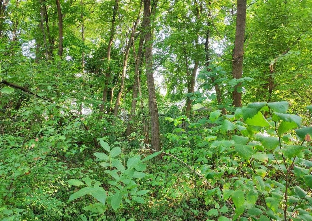 Działka budowlana na sprzedaż Grodzisk Mazowiecki, Księcia Józefa Poniatowskiego  3 854m2 Foto 5