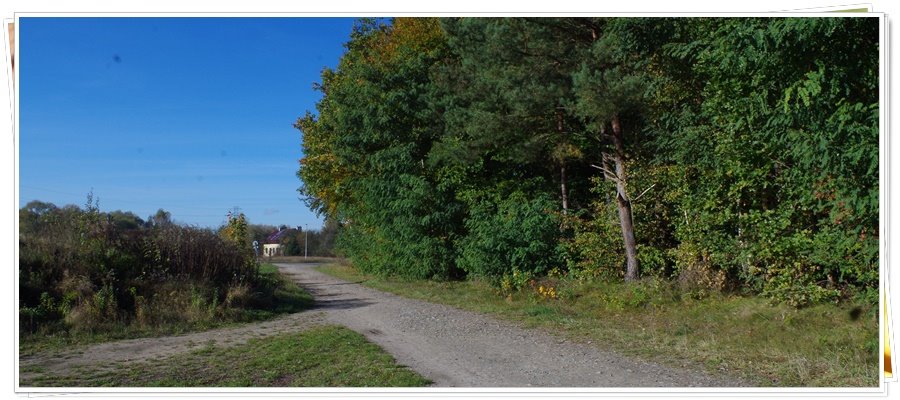 Działka rolna na sprzedaż Wejherowo, Śmiechowo, Fenikowskiego  8 970m2 Foto 2