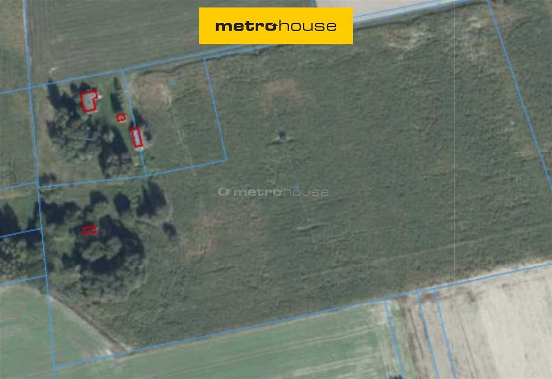 Polecam działkę rolną 80 942 m² z możliwością dokupienia siedliska Zabłocie  80 942m2 Foto 1