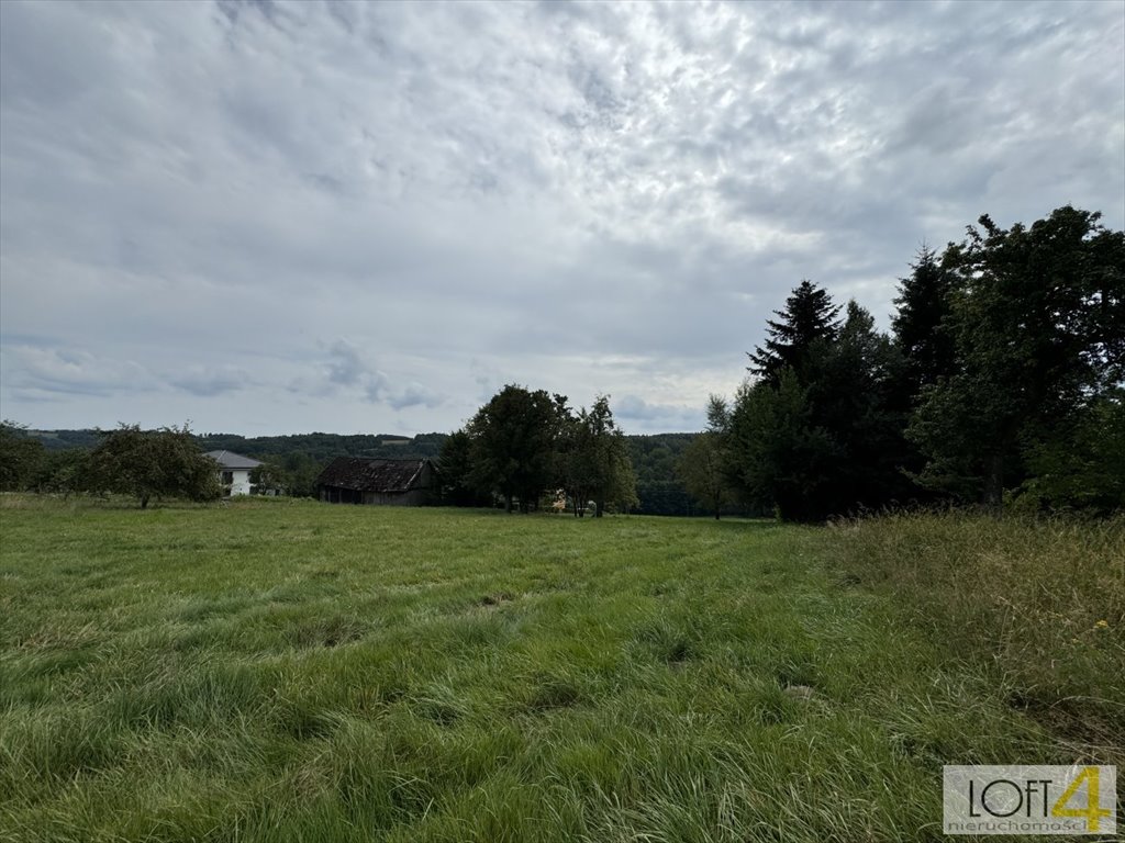 Działka inna na sprzedaż Buchcice  8 500m2 Foto 12