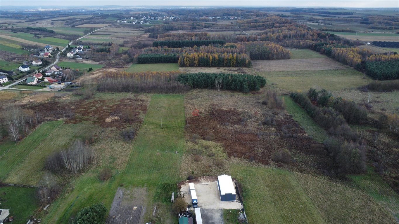 Działka budowlana na sprzedaż Łukowa  6 500m2 Foto 5