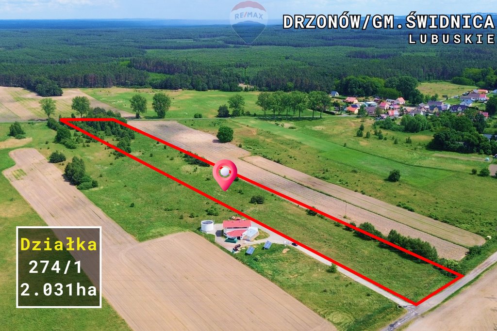 Działka rolna na sprzedaż Drzonów  20 314m2 Foto 1