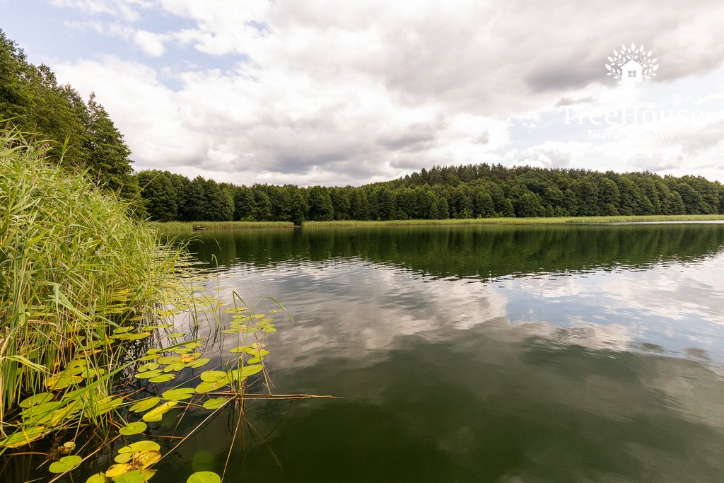 Działka budowlana na sprzedaż Pasterzewo  9 259m2 Foto 1