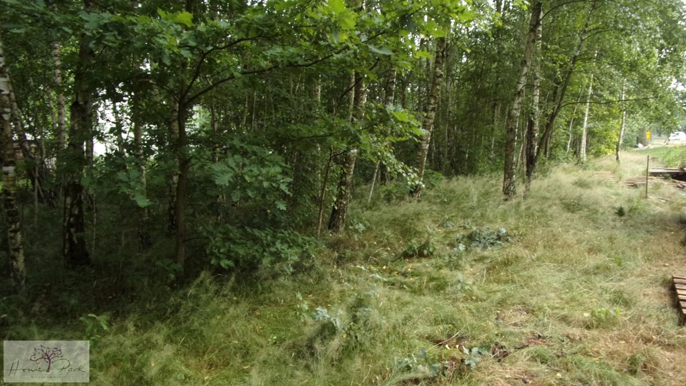 Działka budowlana na sprzedaż Bedoń Przykościelny  2 300m2 Foto 2