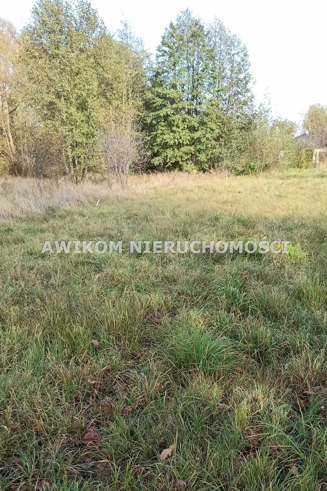 Działka budowlana na sprzedaż Jaktorów, Budy-Grzybek  1 120m2 Foto 7