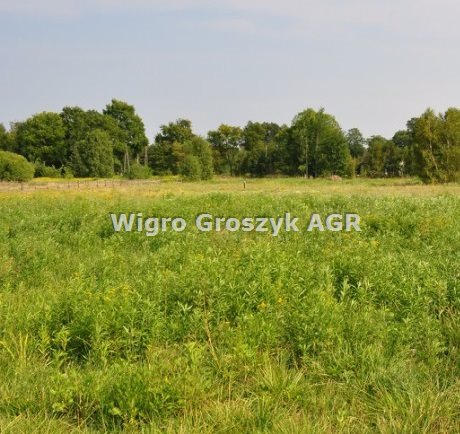 Działka 8 226 m² z planem zabudowy i infrastrukturą Nowe Polesie  8 226m2 Foto 1