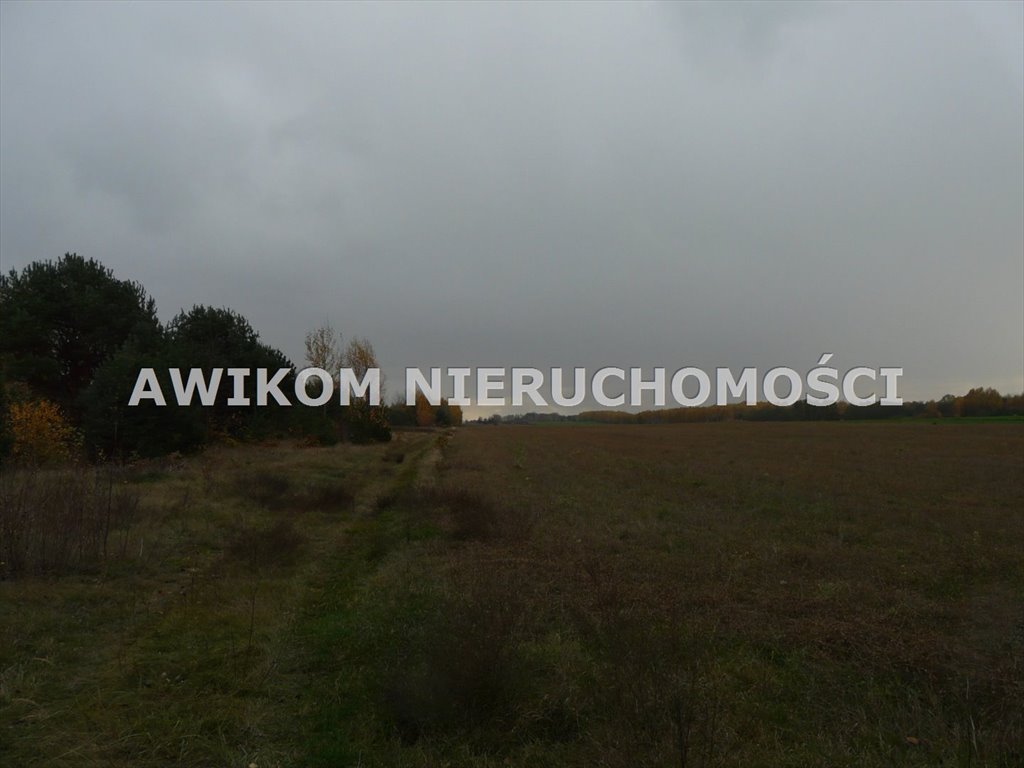 Działka inwestycyjna na sprzedaż Puszcza Mariańska, Stary Łajszczew  74 200m2 Foto 8