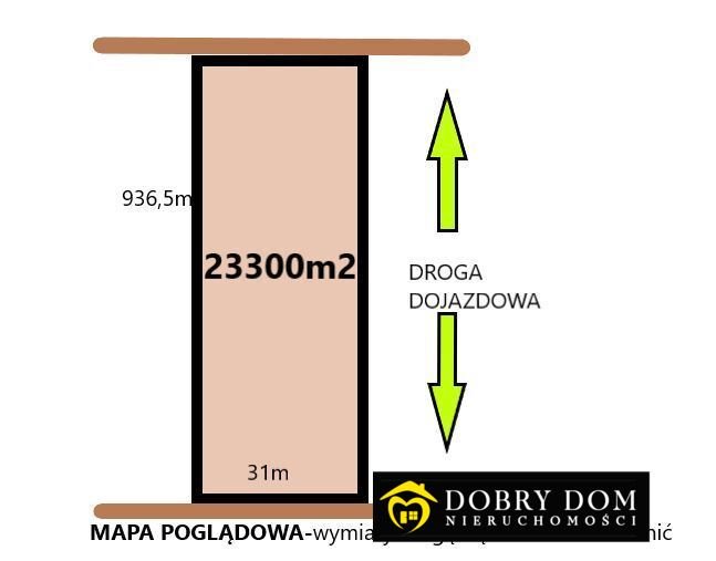 Duża działka rolno-leśna z drzewami 60+ lat, prąd, dojazd Łozowo  23 300m2 Foto 1