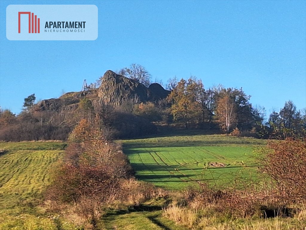 Działka gospodarstwo rolne na sprzedaż Pomocne  30 000m2 Foto 3